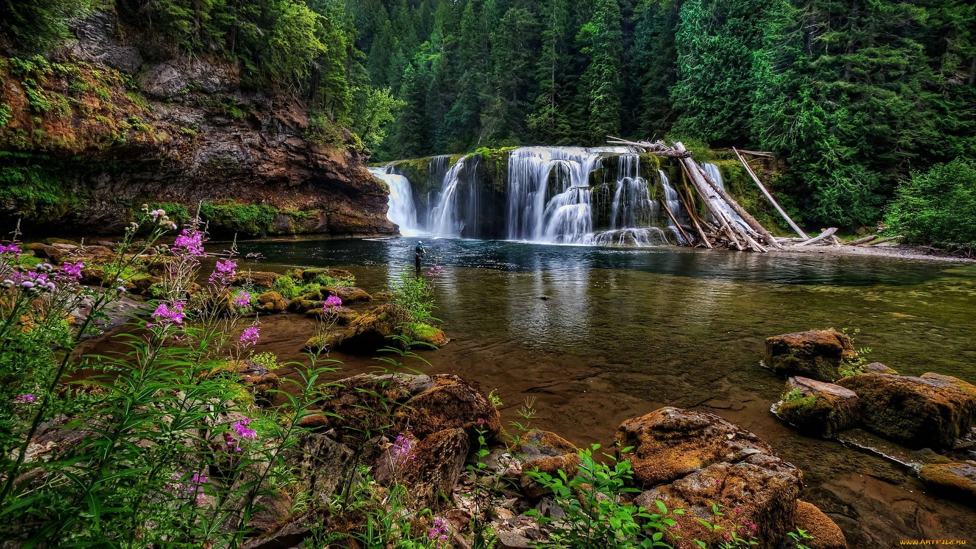 Картинки лес водопад